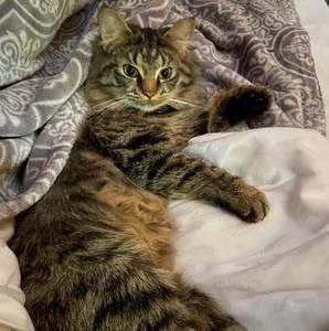 Meet your Posher, Bianca